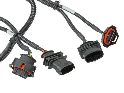 AFE - aFe 2022 Hyundai Kona N L4 2.0L (t) Scorcher GT Power Module - Panda Motorworks