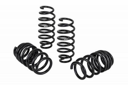Eibach - Eibach Pro - Kit for 17 - 23 Tesla 3 Long Range (AWD) - Panda Motorworks