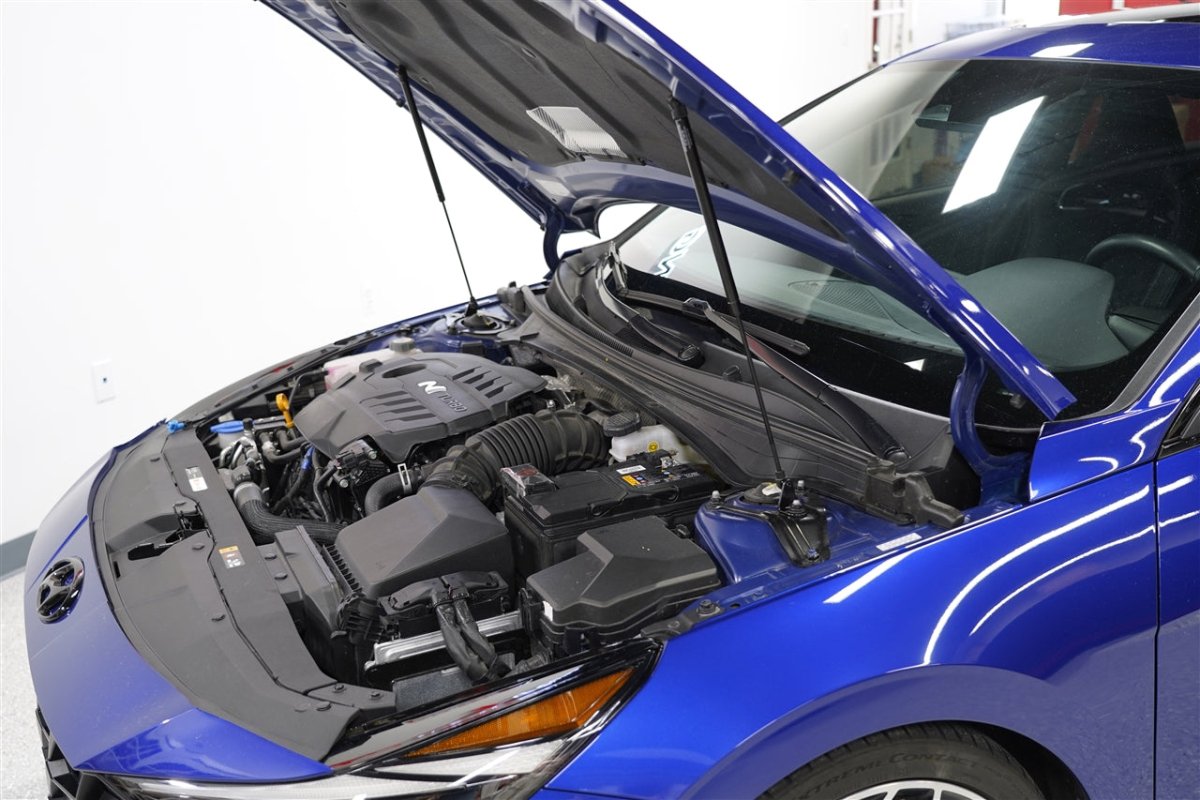 Redline Tuning - Redline Tuning 2021+ Hyundai Elantra Hood QuickLIFT PLUS - Panda Motorworks