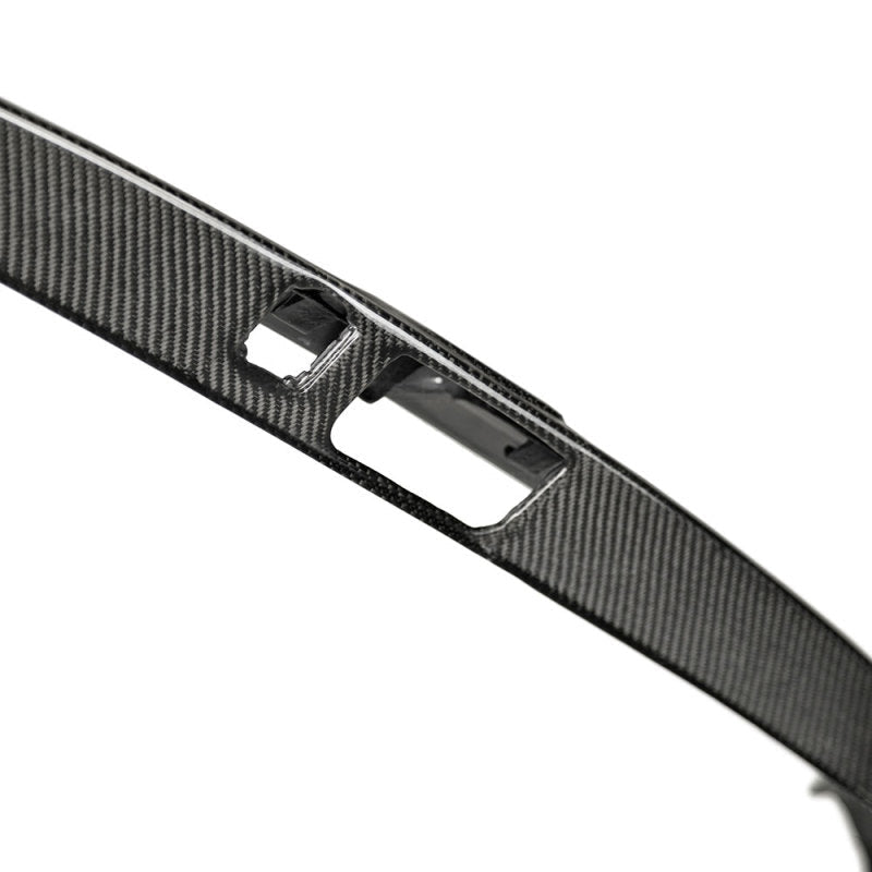Seibon - Seibon 2017 Honda Civic Type - R Rear License Trim