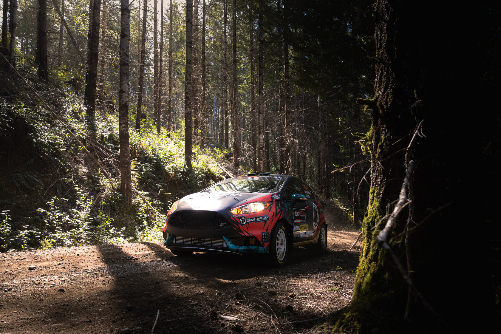 Panda Motorworks Rally Car