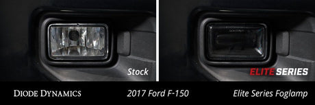Diode Dynamics - Elite Series Fog Lamps for 2015 - 2020 Ford F - 150 (pair) - Panda Motorworks