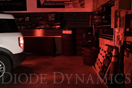 Diode Dynamics - Tail Light LEDs for 2021 - 2023 Ford Bronco Sport (pair) - Panda Motorworks