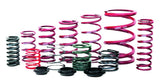 Eibach - Eibach ERS Double Spring System – Ford Bronco