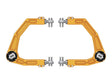 ICON - ICON 2024 Toyota Tacoma Billet Upper Control Arm w/ Delta Joint Pro - Gold Anodized - Panda Motorworks