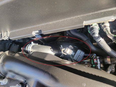 Panda Motorworks - Panda Motorworks BPV Delete Kit - 2022+ Ford Maverick EcoBoost (2.0L)