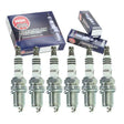 Panda Motorworks - Panda Motorworks Pre - Gapped NGK 1 Step Colder Spark Plugs