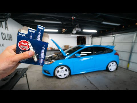 Panda Motorworks Pre Gapped NGK 1 Step Colder Spark Plugs