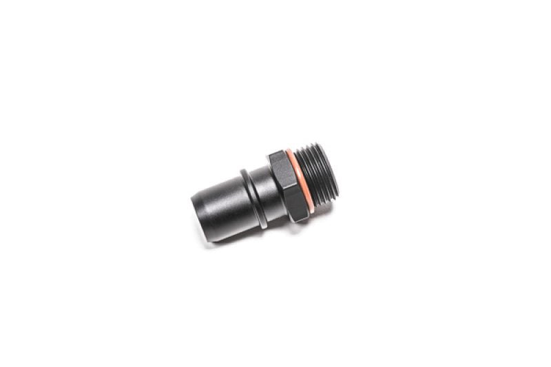 Radium Engineering - Radium Engineering 10AN ORB To .750 SAE Male