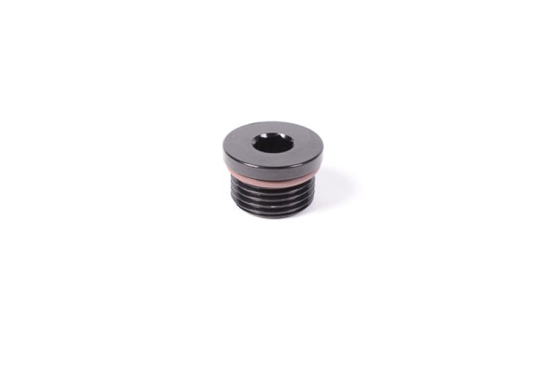 Radium Engineering - Radium Engineering 12AN ORB Plug