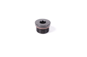 Radium Engineering - Radium Engineering 12AN ORB Plug