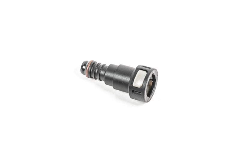 Radium Engineering - Radium Engineering 1/2in SAE Female to 1/2in Barb