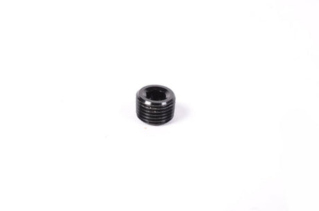 Radium Engineering - Radium Engineering 1/8in NPT Plug