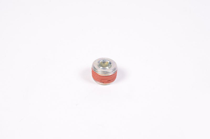 Radium Engineering - Radium Engineering 3/8in NPT Plug
