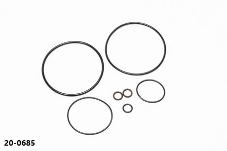 Radium Engineering - Radium Engineering AOS-R O-Ring Service Kit