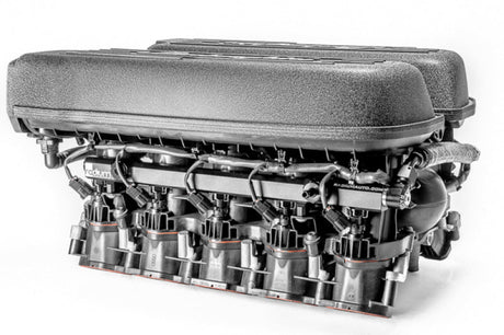 Radium Engineering - Radium Engineering Fuel Rail Plumbing Audi R8 Lamborghini Huracan