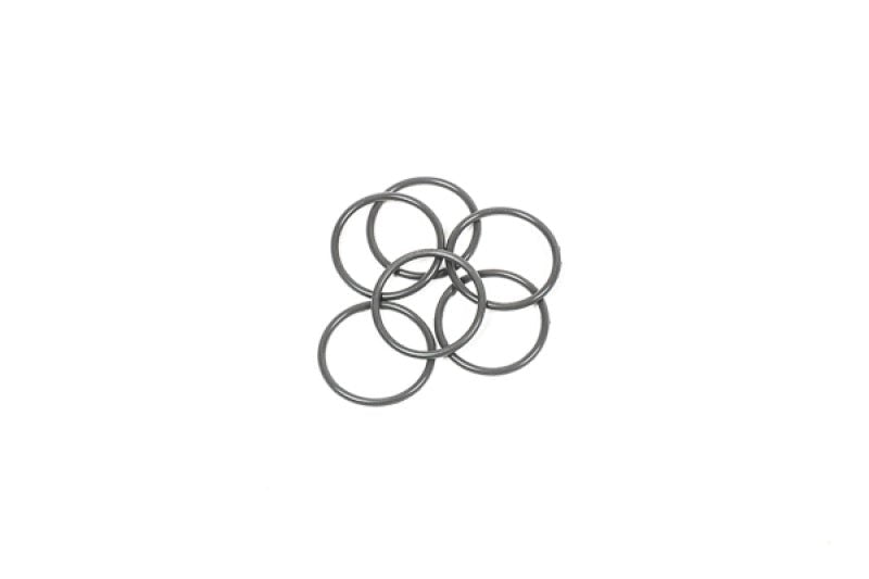 Radium Engineering - Radium Engineering O-Ring Service Kit - 30mm Injector Seat - Set of 6