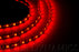 LED Strip Lights Red 200cm Strip SMD120 WP Diode Dynamics