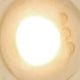 2011-2015 Ford Fiesta Rear Dome Light LED - Panda Motorworks - 8