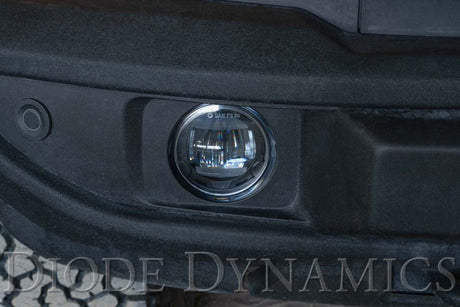 Diode Dynamics - Diode Dynamics Elite Series Type A Fog Lamps ( Fiesta ST 2014 - 2019) - Panda Motorworks