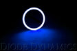 Diode Dynamics - Halo Lights LED 100mm Blue Single Diode Dynamics