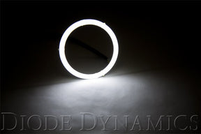 Diode Dynamics - Halo Lights LED 100mm White Pair Diode Dynamics