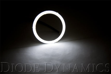 Diode Dynamics - Halo Lights LED 100mm White Pair Diode Dynamics