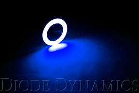 Diode Dynamics - Halo Lights LED 50mm Blue Single Diode Dynamics