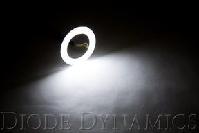 Diode Dynamics - Halo Lights LED 50mm White Pair Diode Dynamics