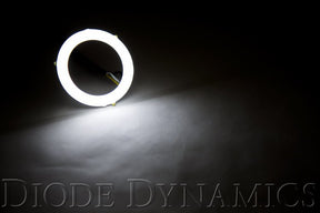 Diode Dynamics - Halo Lights LED 60mm White Single Diode Dynamics