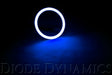 Diode Dynamics - Halo Lights LED 90mm Blue Single Diode Dynamics