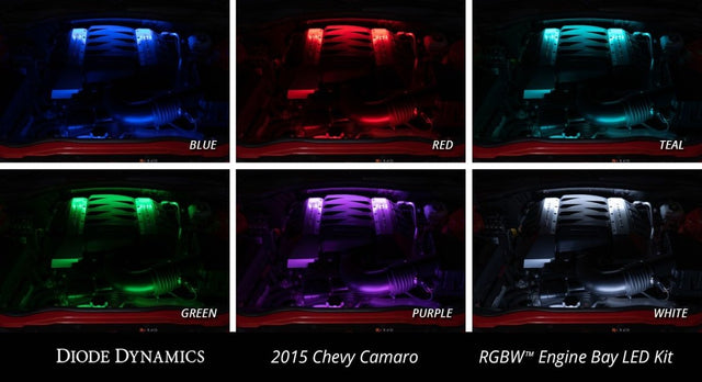 Diode Dynamics - RGBW Multicolor Engine Bay LED Kit