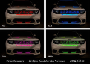 Diode Dynamics - RGBW Multicolor Grille LED Kit