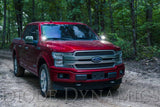 Diode Dynamics - Stage Series Backlit Ditch Light Kit for 2015 - 2020 Ford F - 150/ Raptor - Panda Motorworks
