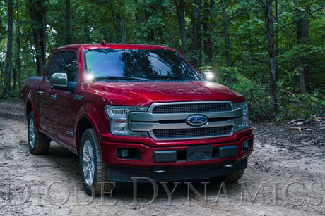 Diode Dynamics - Stage Series Backlit Ditch Light Kit for 2015 - 2020 Ford F - 150/ Raptor - Panda Motorworks