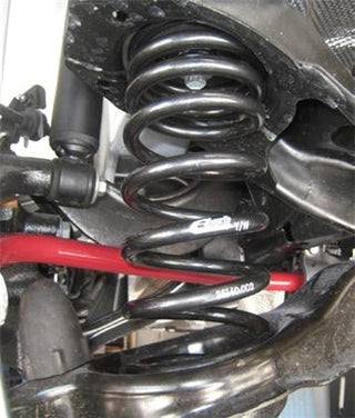 Focus ST Suspension - Panda Motorworks