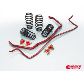 Eibach - Eibach Pro - Plus Kit for 17 - 18 Honda Civic Type - R - Panda Motorworks