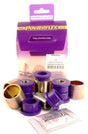 POWERFLEX - POWERFLEX Ford Focus Rear Lower Trailing Arm Bushing