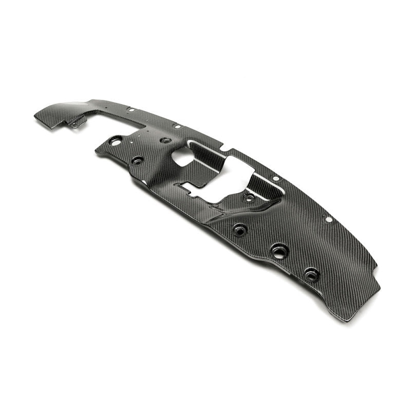 Seibon - Seibon 2017 - 2018 Honda Civic Type - R FK8 Carbon Fiber Cooling Plate