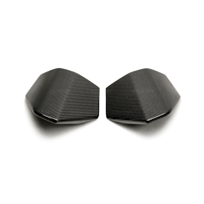Seibon - Seibon 2017 Honda Civic Type - R Carbon Fiber Rear Roof Trim