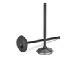 SuperTech - Supertech Ford Ecoboost 1.6L Black Nitrided Intake Valve (Set of 8) - (Use w/Keeper KPR - 50 / 7S)
